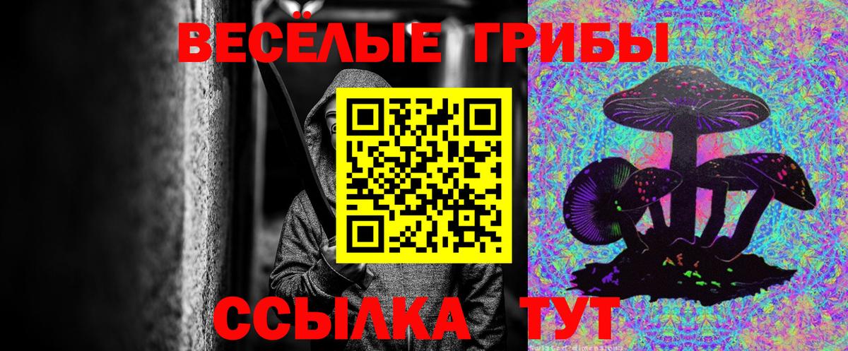 Абакан  Псилоцибиновые грибы Psilocybe  Галлюциногенные грибы MAGIC MUSHROOMS  Вход с VPN 